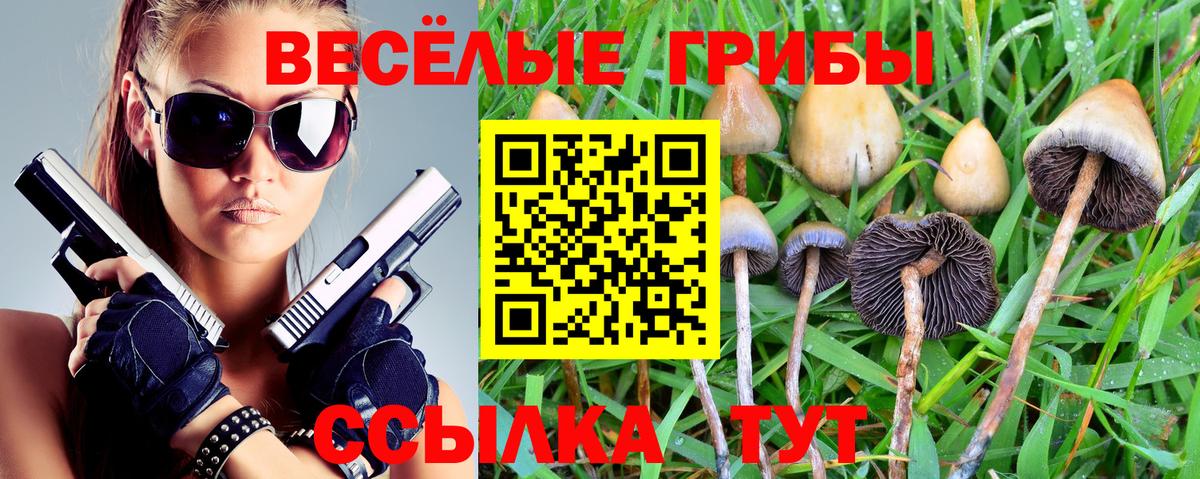 Салехард  Псилоцибиновые грибы Psilocybe  Вход с VPN 